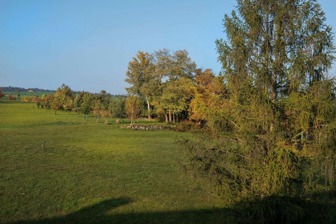 Zamek Liboun Hotell Louňovice pod Blaníkem Exteriör bild