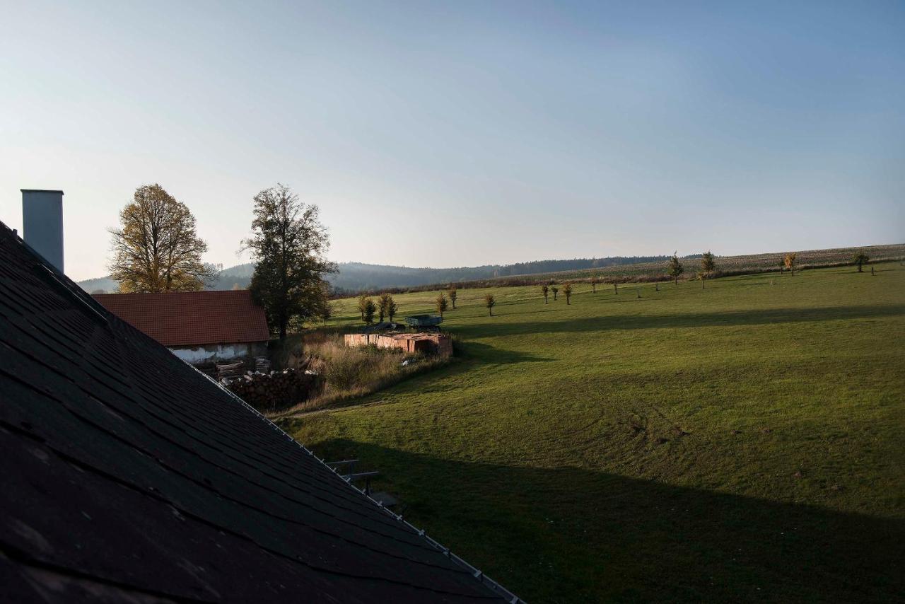 Zamek Liboun Hotell Louňovice pod Blaníkem Exteriör bild